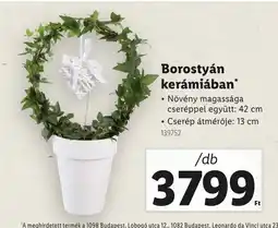 Lidl Borostyán kerámiában ajánlat