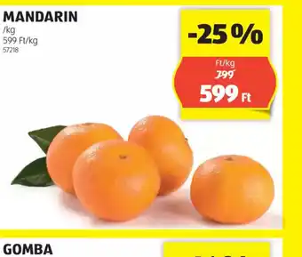 ALDI Mandarin ajánlat