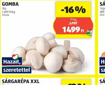 ALDI Gomba ajánlat