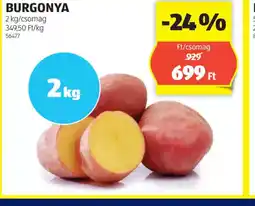 ALDI Burgonya ajánlat