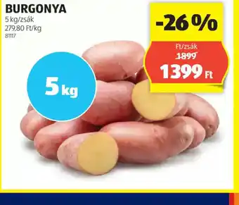 ALDI Burgonya ajánlat