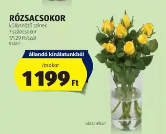 ALDI Rózsacsokor ajánlat