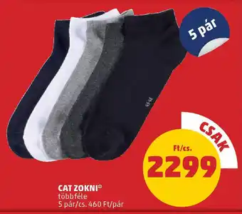 PENNY Cat Zokni ajánlat