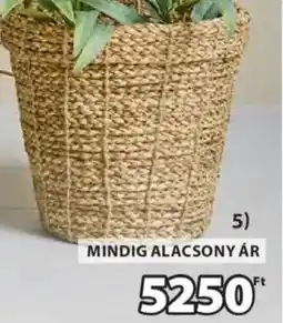 JYSK Erik kaspó ajánlat