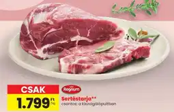 Spar Regnum Sertéstarja ajánlat