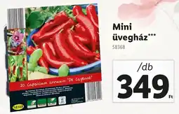 Lidl Mini üvegház ajánlat