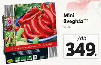 Lidl Mini üvegház ajánlat