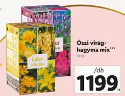 Lidl Őszi virághagyma mix ajánlat