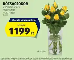 ALDI Rzsacsokor ajánlat