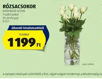 ALDI Rzsacsokor ajánlat