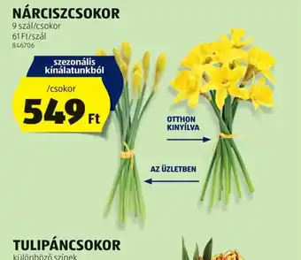 ALDI Nárciszcsokor ajánlat