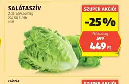 ALDI Salátaszív ajánlat