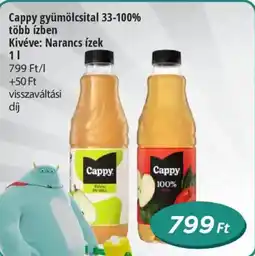 Real Cappy gyümölcsital 33-100% ajánlat