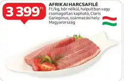 Auchan Afrikai harcsafilé ajánlat