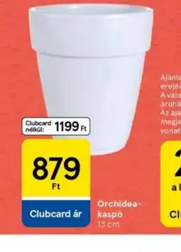 Tesco Orchidea kasp ajánlat