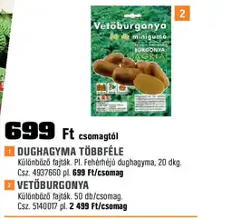 Obi Vetőburgonya ajánlat