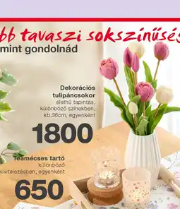 Kik Dekorációs tulipáncsokor ajánlat