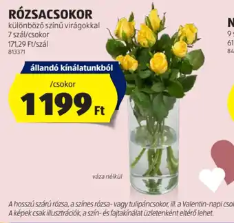 ALDI Rzsacsokor ajánlat