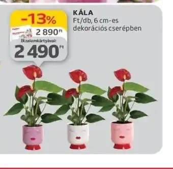 Auchan Kála ajánlat