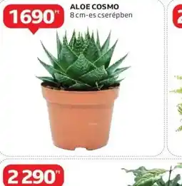 Auchan Aloe Cosmo ajánlat