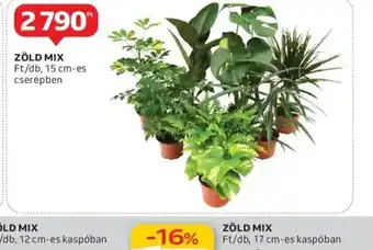 Auchan Zöld Mix ajánlat