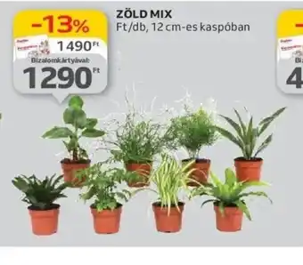 Auchan Zöld Mix ajánlat