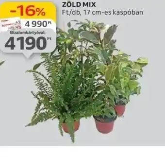 Auchan Zöld Mix ajánlat