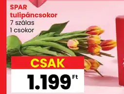 Interspar SPAR tulipáncsokor ajánlat