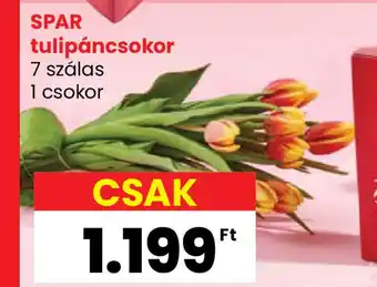 Interspar SPAR tulipáncsokor ajánlat