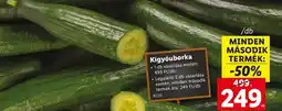 Lidl Kígyóuborka ajánlat