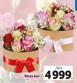 Lidl Rózsa box ajánlat