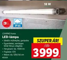 Lidl LIVARNO home LED-lámpa ajánlat