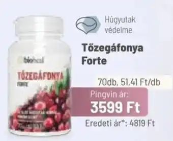 Pingvin Patika BioHeal Tőzegáfonya Forte ajánlat