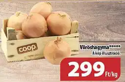 Coop Vöröshagyma ajánlat