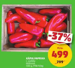 PENNY Kápia paprika ajánlat