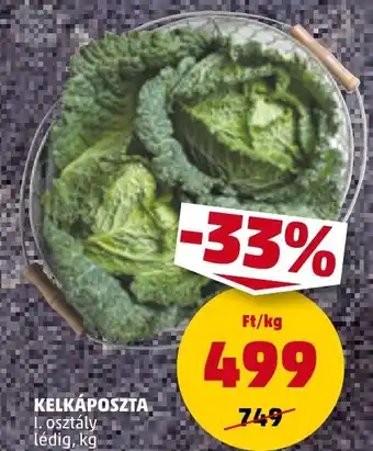 PENNY Kelkáposzta ajánlat