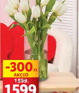 Lidl Tulipáncsokor ajánlat