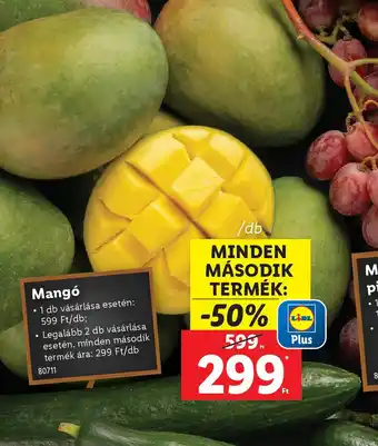 Lidl Mango ajánlat