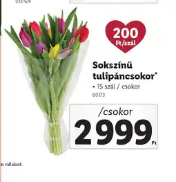 Lidl Sokszínű tulipáncsokor ajánlat