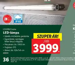 Lidl Livarno Home LED-lámpa ajánlat