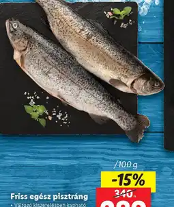 Lidl Friss egész pisztráng ajánlat