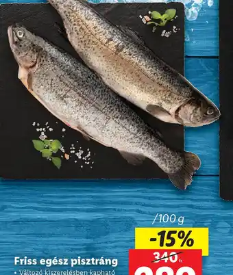 Lidl Friss egész pisztráng ajánlat