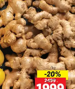 Lidl Gyömbér ajánlat
