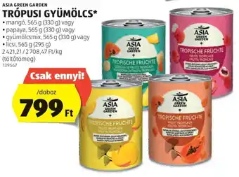 ALDI Asia Green Garden trópusi gyümölcs ajánlat