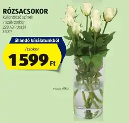 ALDI Rózsacsokor ajánlat