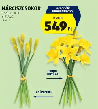 ALDI Nárciszcsokor ajánlat