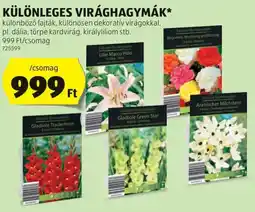 ALDI Különleges virághagymák ajánlat