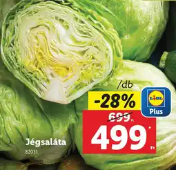 Lidl Jégsaláta ajánlat