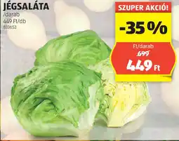 ALDI Jégsaláta ajánlat