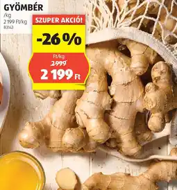 ALDI Gyömbér ajánlat